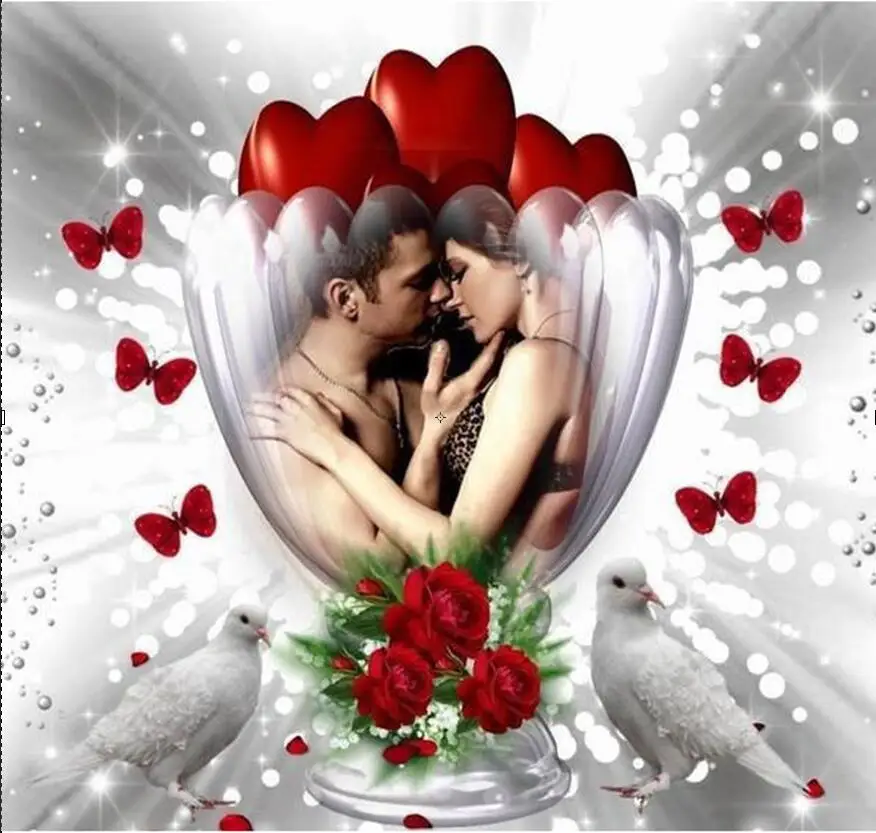 Набор для алмазной вышивки с изображением любовника сердца и голубей | Дом сад