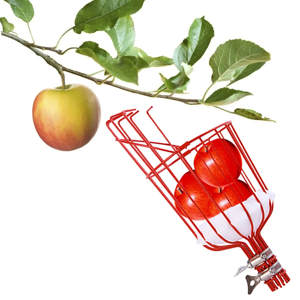 

Detachable Fruit Picker Farm Carbon Steel Pear Peach Collection Picking Catcher Gardening Fruit Picking Head Tool