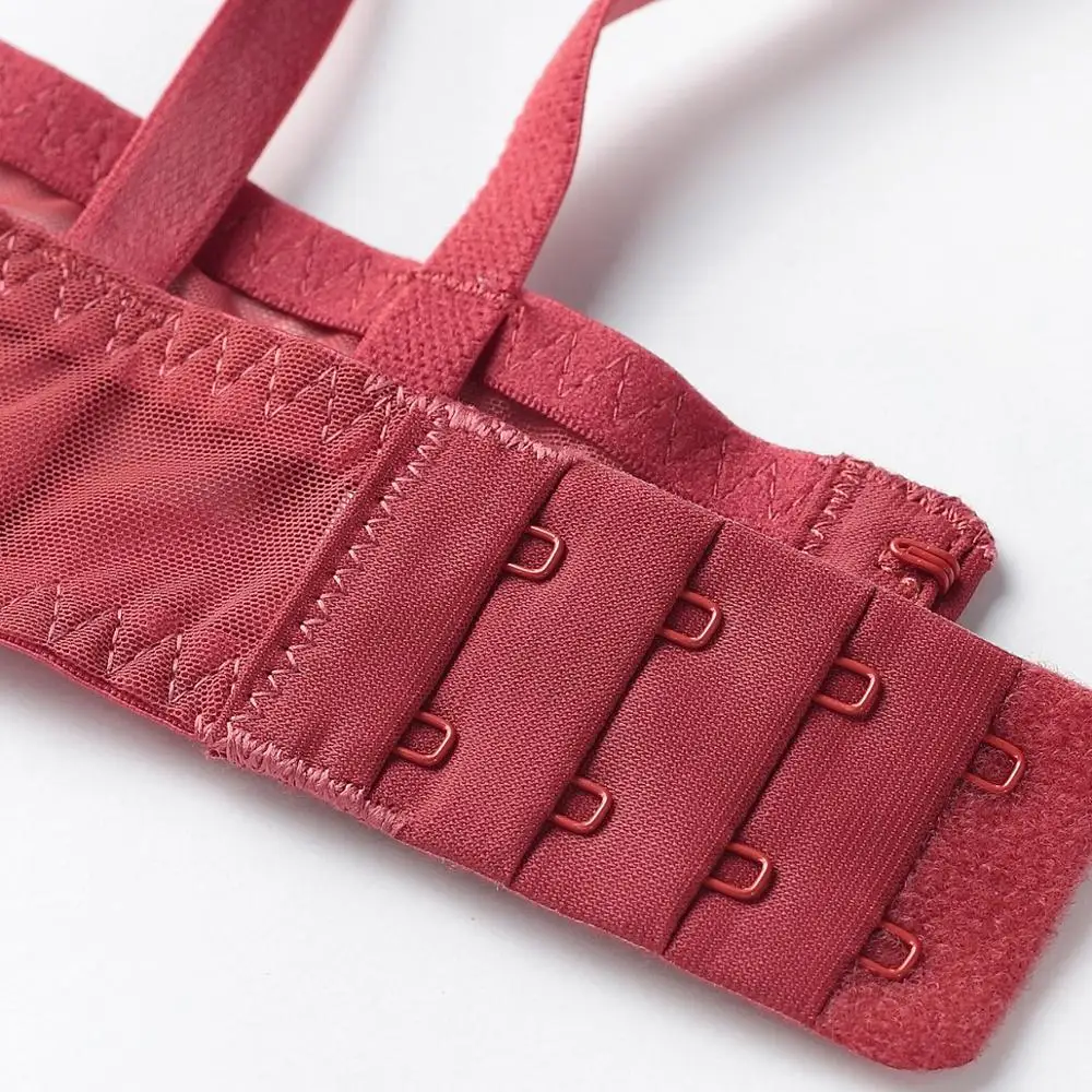 New Plus Size B C D E Cup Bra Set Sexy Lace Ultrathin Women Underwear Summer Transparent Bras and Panties 85E 90C 95D Lingerie