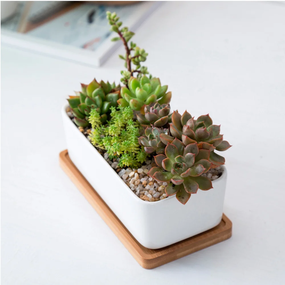 

Ceramic Oblong Flower Pots Flowerpot Planter with Bamboo Tray Succulent Planter Garden Bonsai Pot Flowerpot