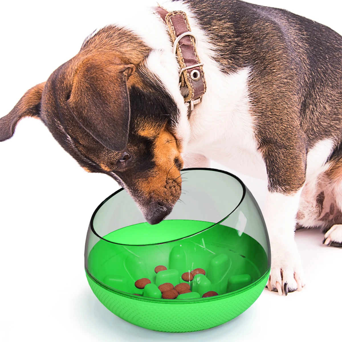 

Hot Sale Green Dog Transparent Bowls