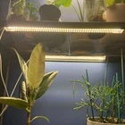 Фитолампа светодиодсветодиодный полного спектра для выращивания растений, 3200 к