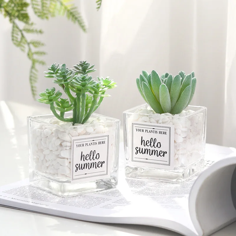 

Nordic Simulation Plants Mini Succulent Potted Accessories Creative Stone Glass Bottle Green Plant Table Decoration Potted