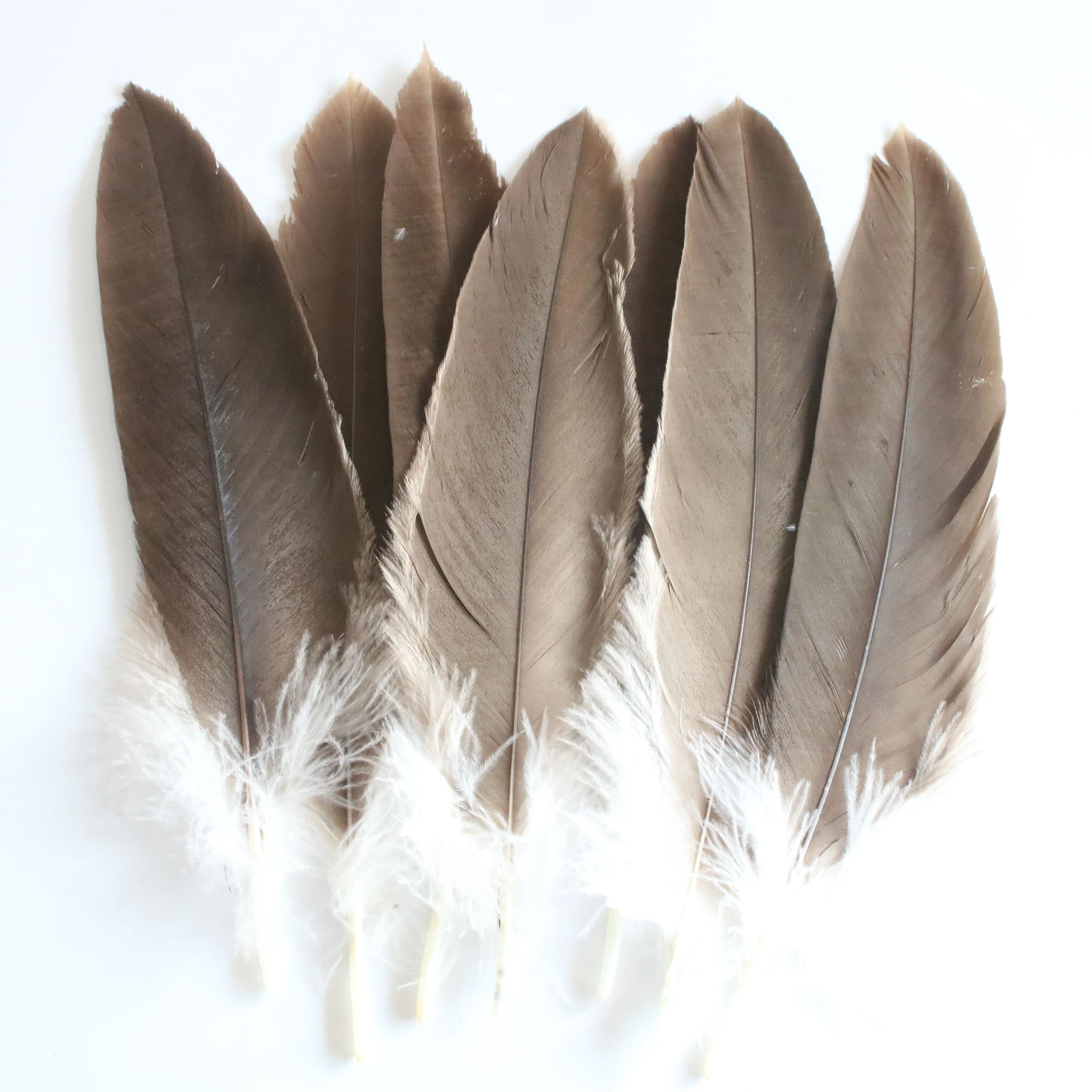 

50pcs/lot High Quality Natural Eagle Feathers 30-35cm/12--14inches Diy Christmas Celebration Home DIY Plumes