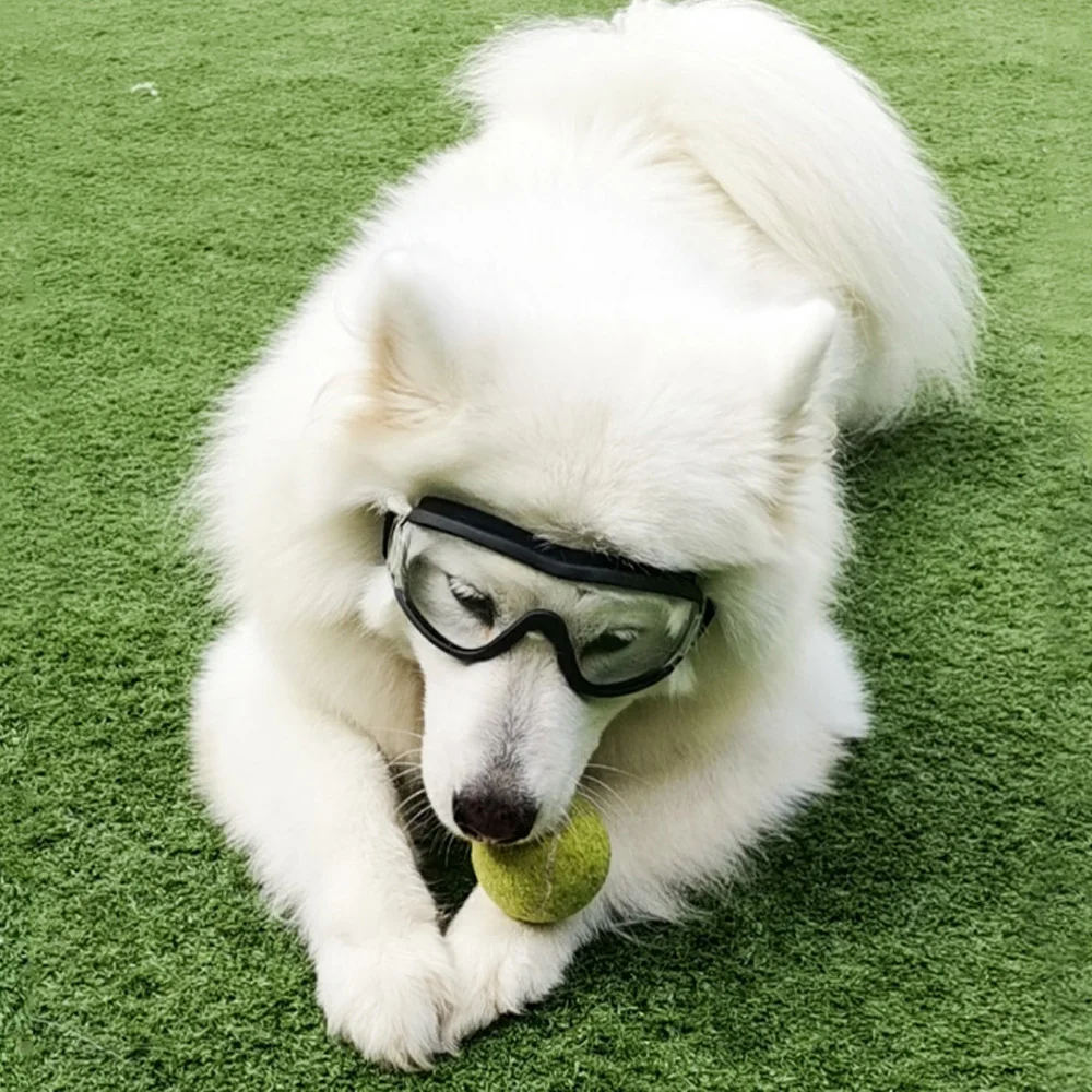 2020 Горячая поводок рулетка для питомца очки собаки солнцезащитные анти УФ защиты
