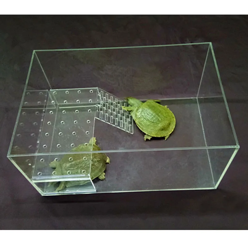Tanque de Peixes de Tartaruga Acrílica com Mesa de Secagem Desktop Pequeno Mini Aquário