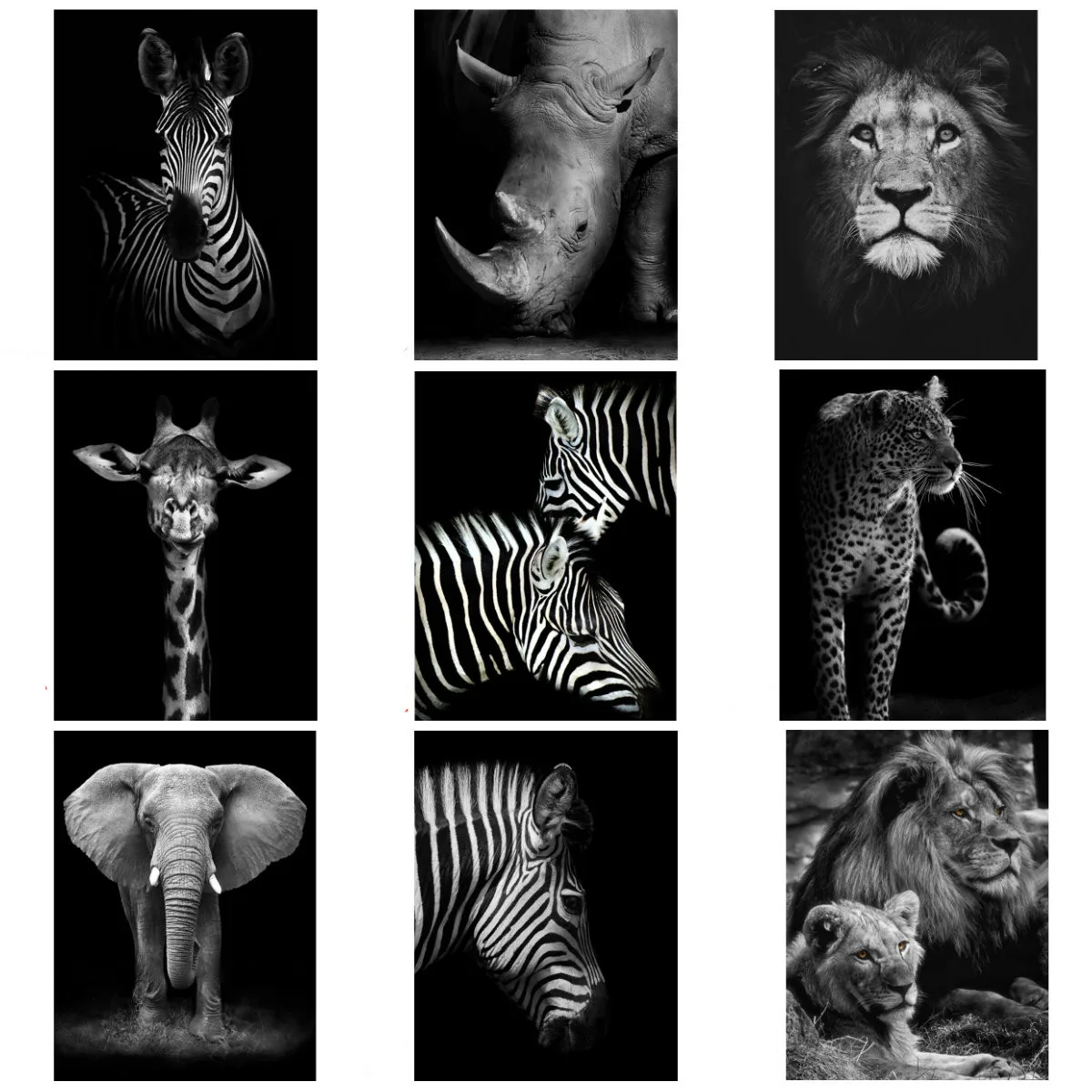 

Безрамное животных Плакат холст картины в африканском стиле; С изображением животных; Лев плакат с дизайном «слон» черный, белый цвет стены ...