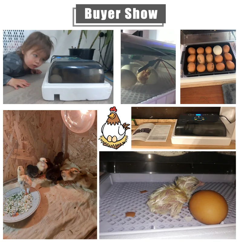 Автоматический инкубатор | Дом и сад