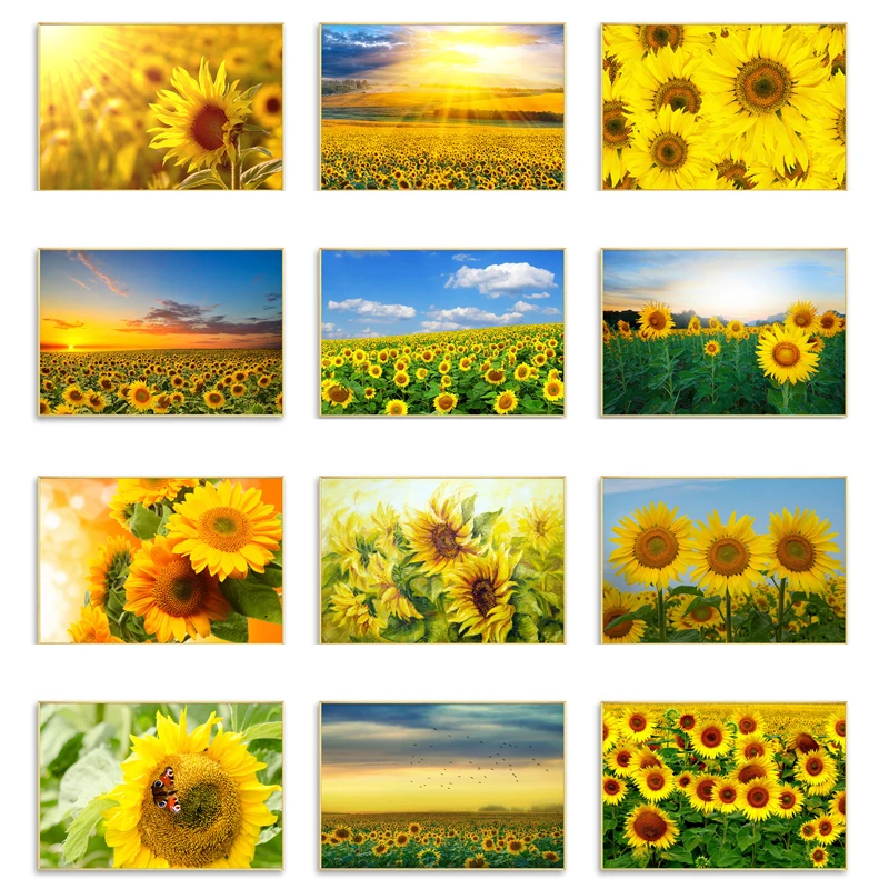 Алмазная 5d картина сделай сам с цветами полная круглая вышивка подсолнухами