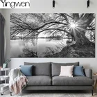 Алмазная 5D Вышивка сделай сам, черно-белая картина с пейзажем леса, полная Алмазная вышивка, стразы, мозаика, художественный Декор