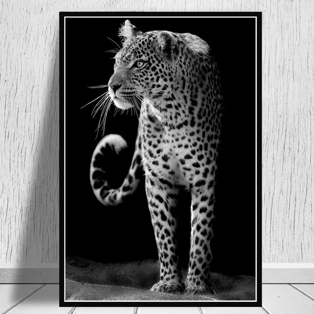 Плакаты и принты на холсте с изображением дикой природы зебры льва для гостиной |