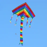 free shipping 10pcslot large rainbow kite kids kite line outdoor flying toy craft dragon kite windsocks cometa fish kite nylon