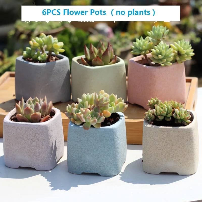 6 шт./компл. Керамика цветочный горшок для суккулентов с джинсы прорехами