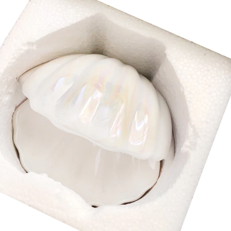 

Ceramic Shell Pearl Decoration Night Light Desktop Storage Decoration Light