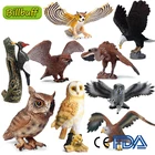 Имитация диких животных, зоопарк, АБС, птицы, Орел, попугай, модель дятла фигурки, коллекционная обучающая игрушка для детей