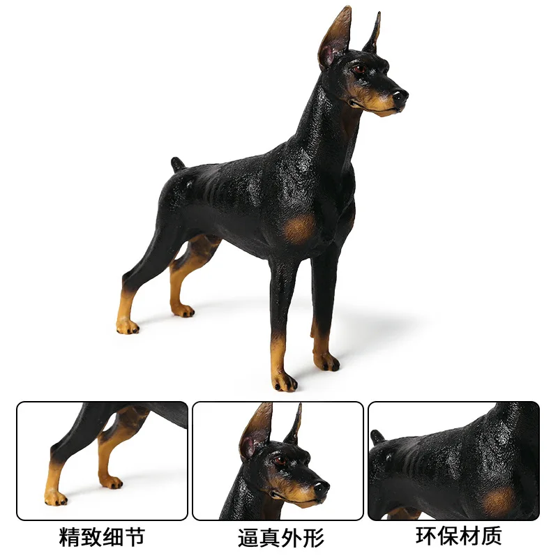 

16,3*4,4*15,6 , , doberman, , , doberman
