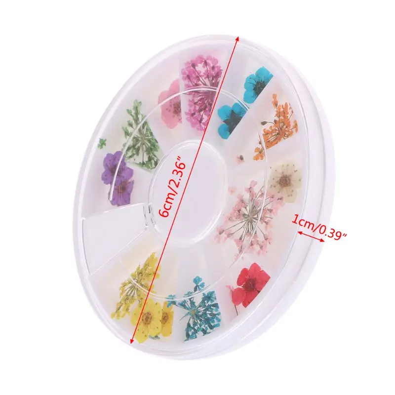 

Real Nail Dried Flowers Nail Art Decoration DIY Tips Case Small Flowers Nails