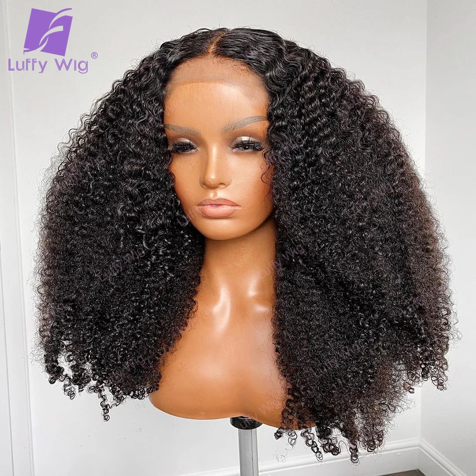 

13x6 Afro Kinky Curly Lace Front Wig Brazilian Remy Human Hair Wigs HD Transparent Lace Wig 250Density For Black Women LUFFY