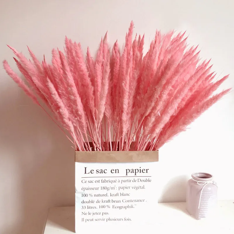 

Bulrush Natural Dried Flowers Artificial Plants Branch Colorful INS Pampas Grass Phragmites Fake Flower Wedding Home Decoration