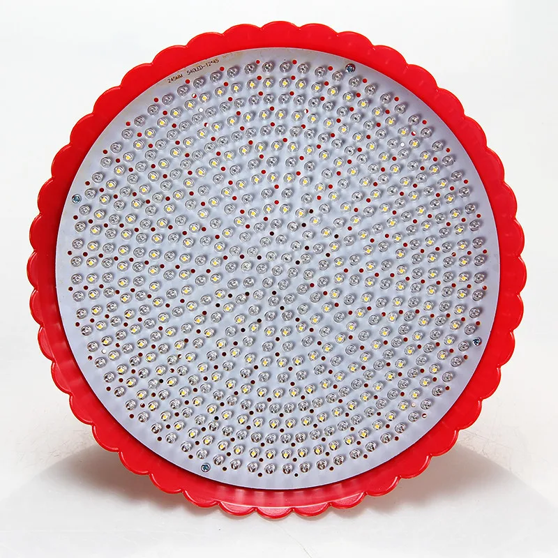 E27 Led fresh pork warm yellow light dish cooked food vegetables fruit seafood white red light photo meat lamp