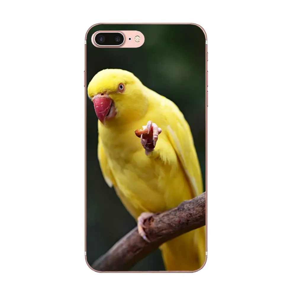 Мягкий чехол для птиц Macaws фиолетовая сова стиль huawei Honor mate 7 7A 8 9 10 20 V8 V9 V10 G Lite Play Mini