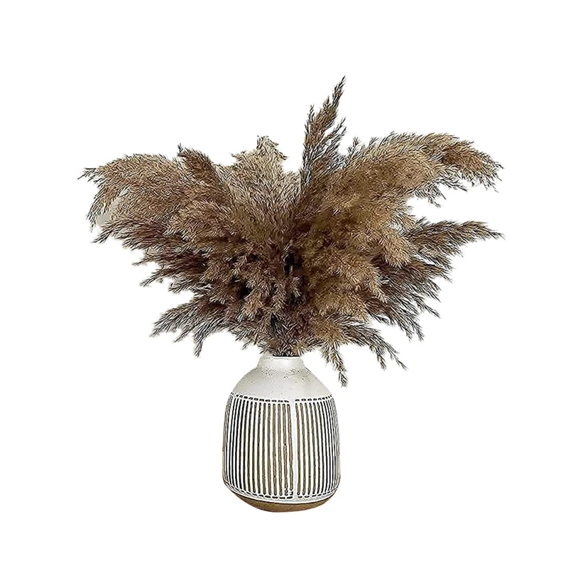 

17.72Inch Dried Pampas Floral Decor Fluffy Pampas Grass 30 Stems Small Pampas Bulk Natural Pampas Grasses Short