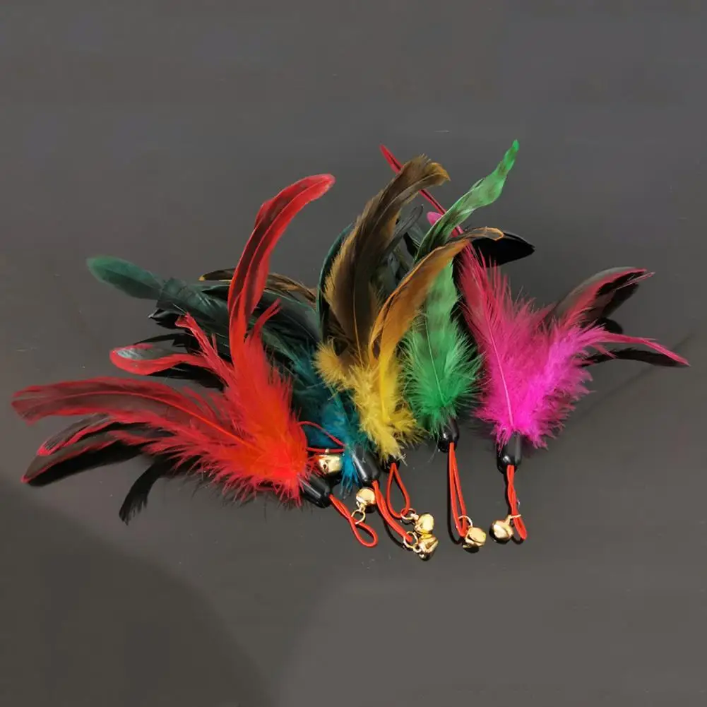 

Kitten Toy Easy to Install Not Easy to Break Harmless Kitten Teaser Bell Feather Head for Pet Cat Supplies