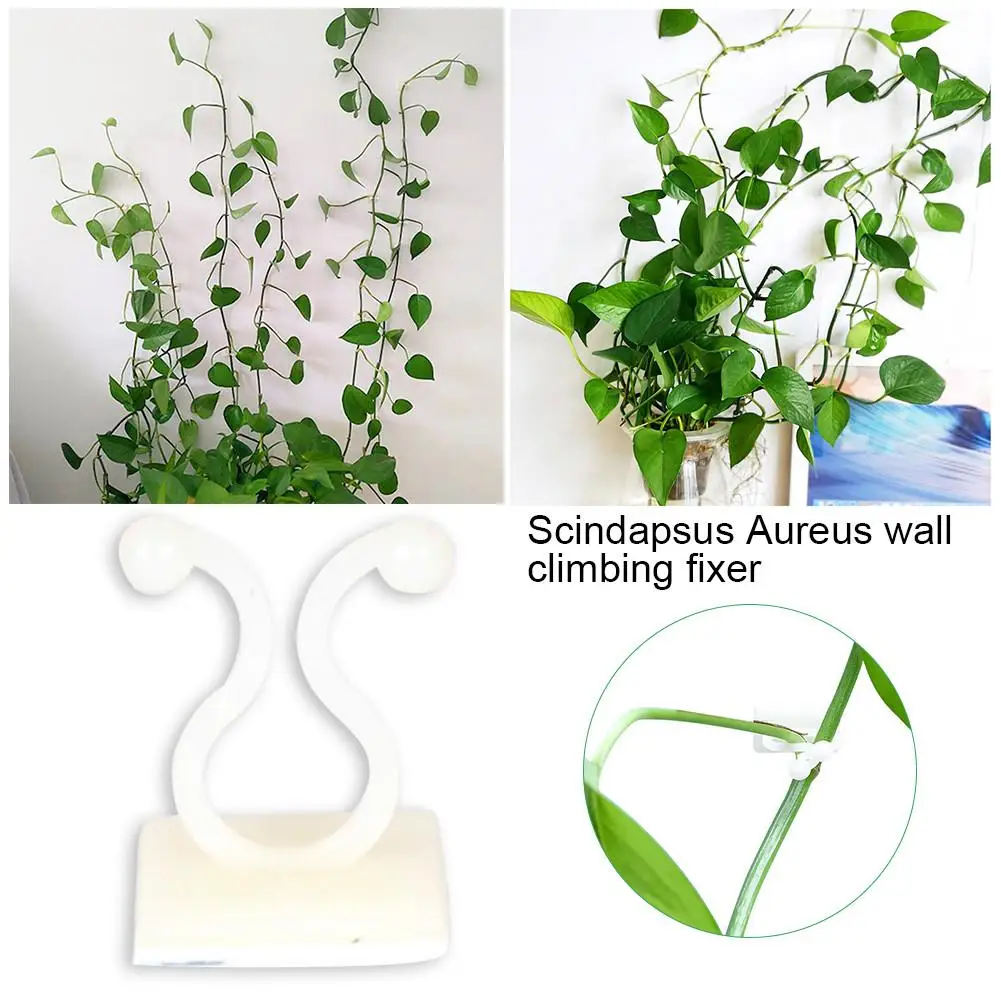 

100PCS Garden Vegetable Plant Support Binding Clip Vine Plant Climbing Wall Fixer Non-marking Self-adhesive Hook