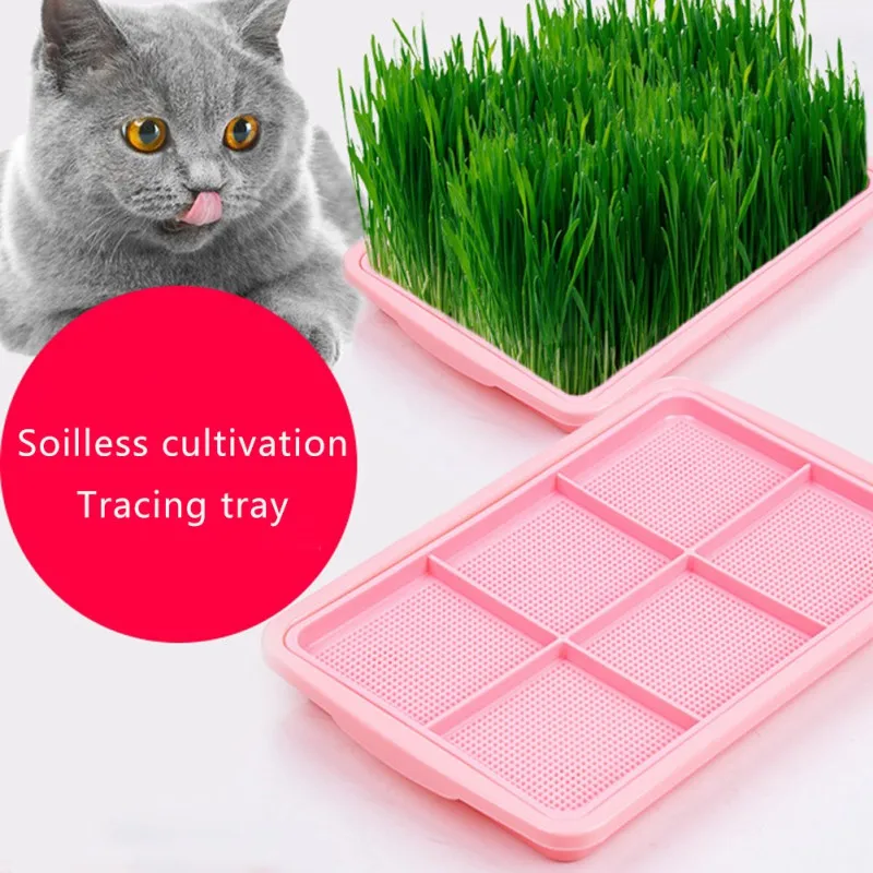 

Pet Cat Catnip Cultivation Hydroponic Cat Grass Planting Practical Box Soilless Cultivation For Gardening Bonsai Cat Grass Tray