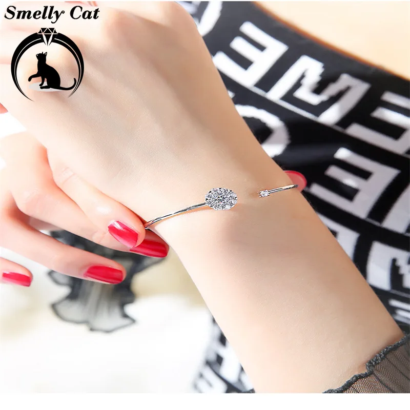 Вонючая кошка модная рука в руку женщина может повернуть простой и свежий