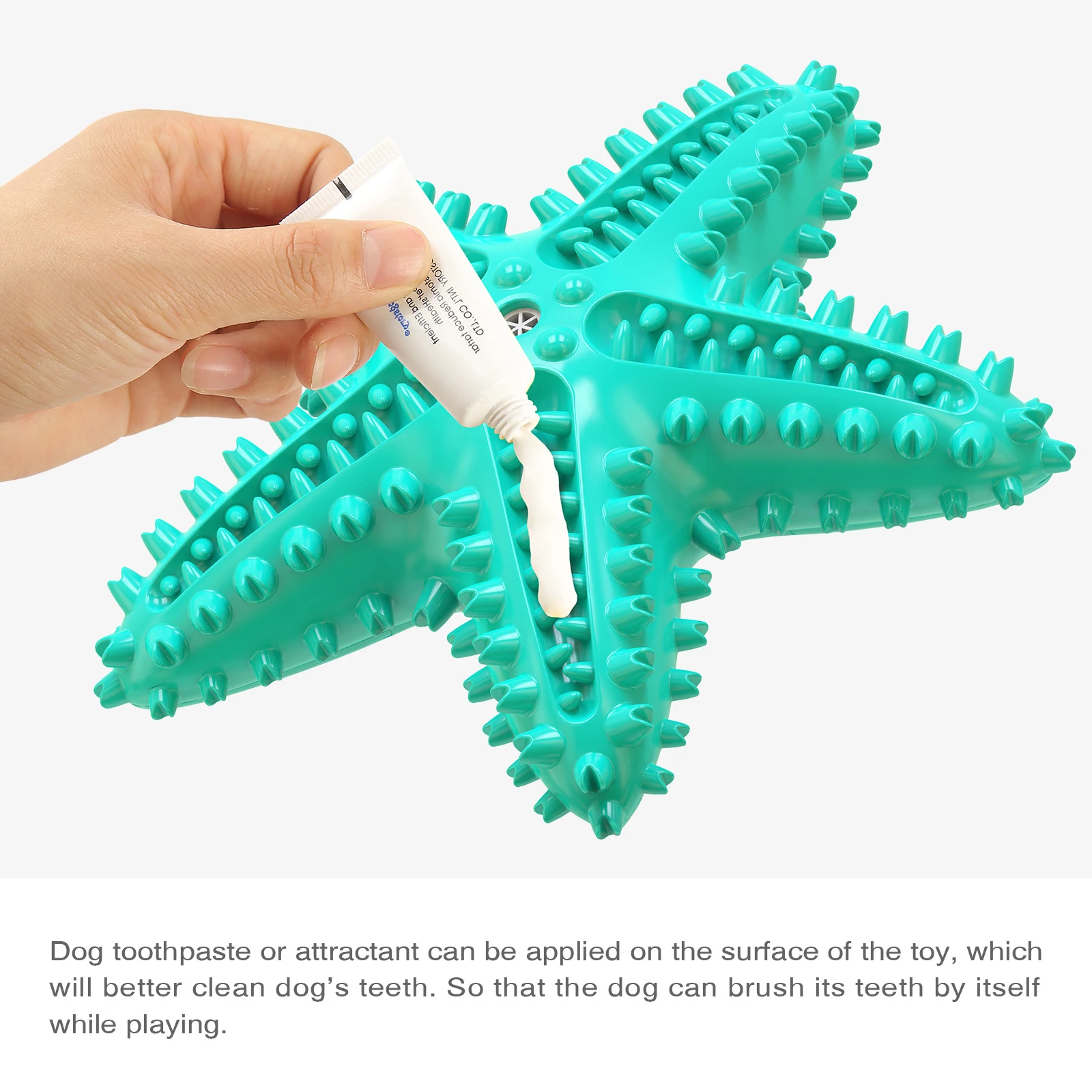 

Pet Molar Toy Dog Toothbrush Starfishes Shape Squeaky Pets Outdoor Training Puzzle Dog Toys Teeth Cleaning FOU99