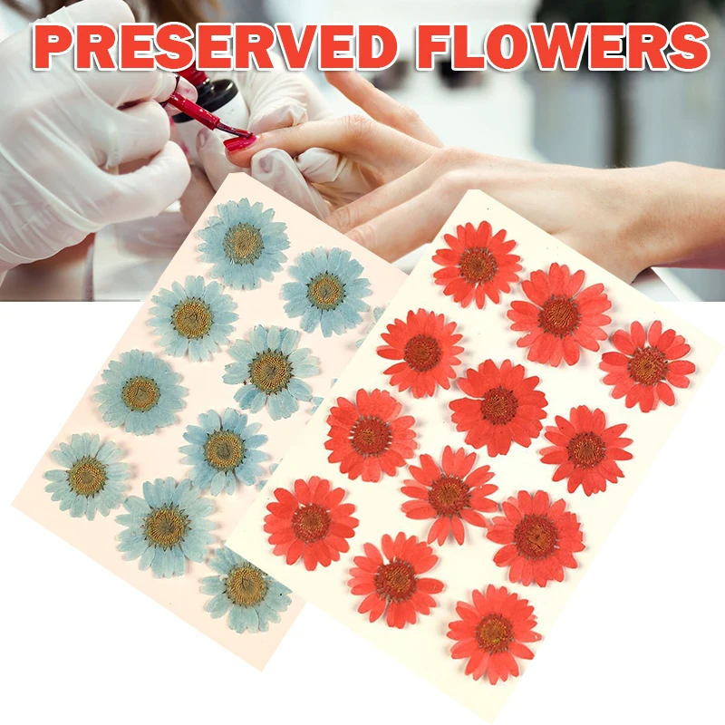 

12pcs Pressed Flowers Dried Flowers Artificial Daisys Flowers For Nail Art Jewelry Making Embossing Epoxy Resin Home DC1