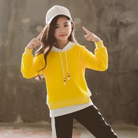plus velvet spring autumn children clothes baby girls sweatshirts kids teenagers tracksuit sport suits outwear high quality