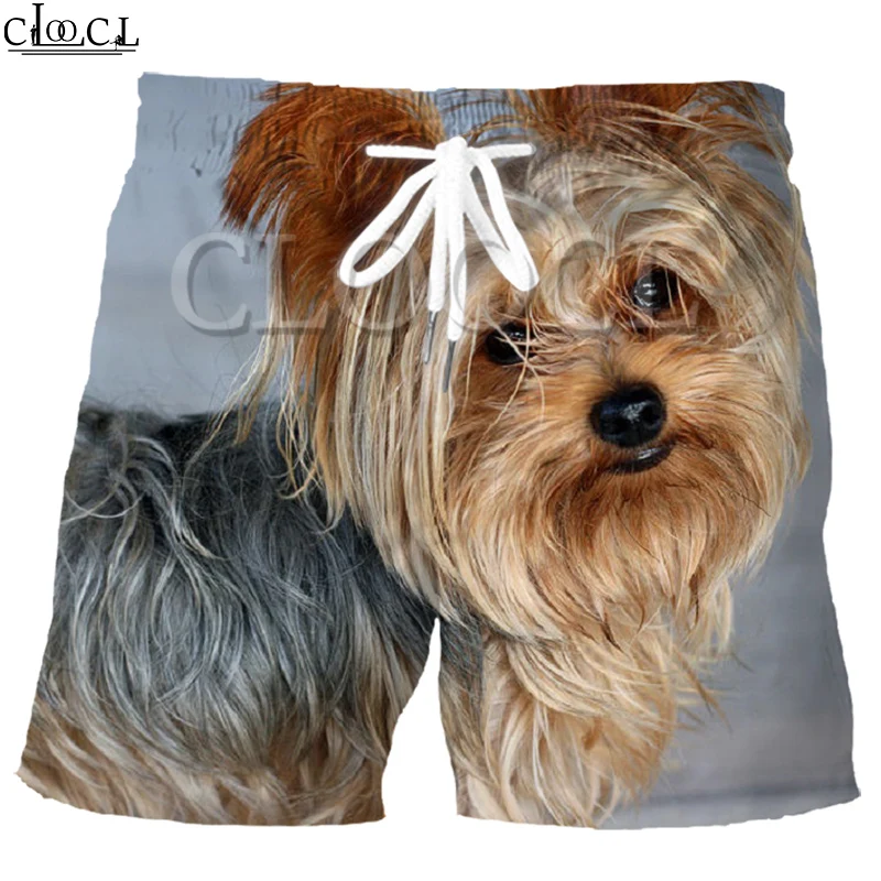 Шорты CLOOCL мужские с 3D принтом животных летние тренировочные штаны в стиле