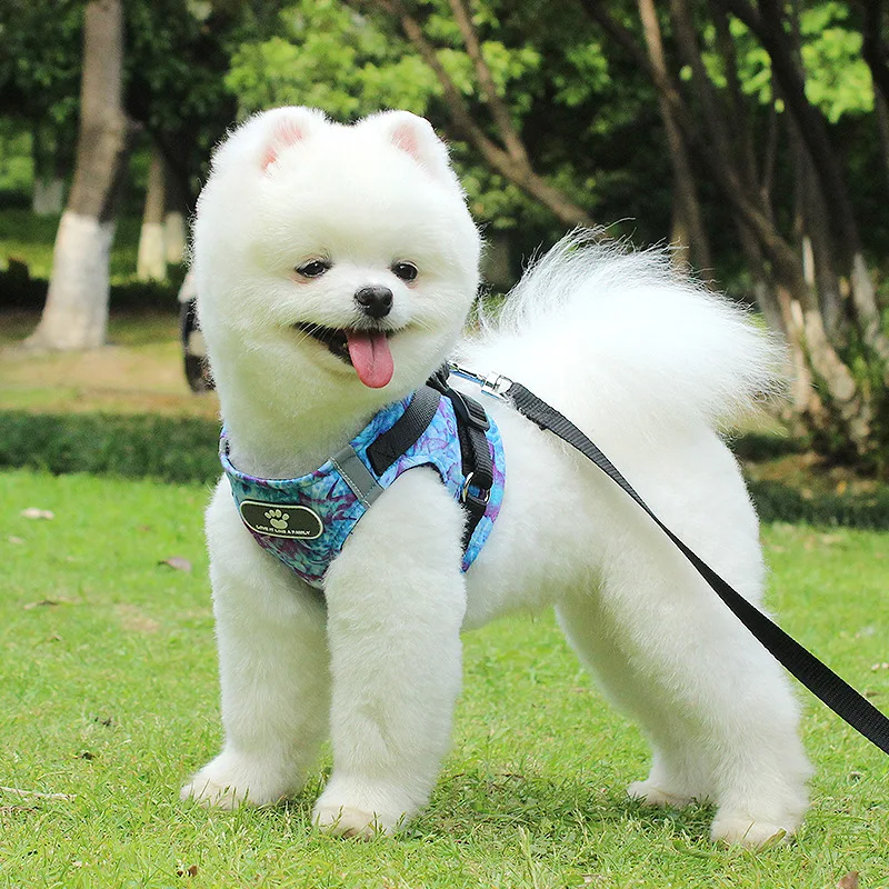 

New dog leash) during the vest type chest straps of small and medium-sized dog dog rope pet supplies dog harness and leash set