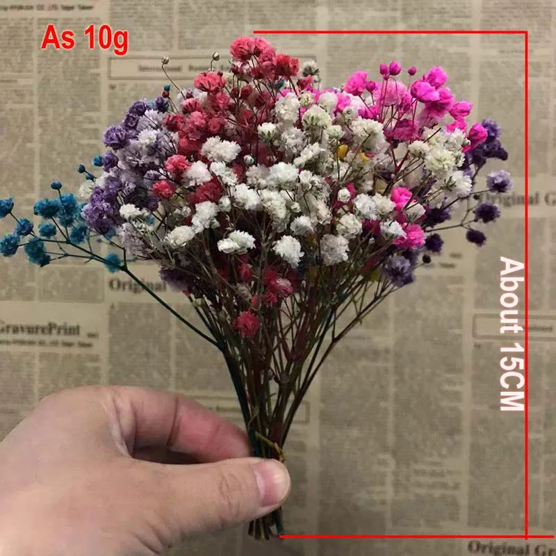 10 г/30gNatural свежий сушеная Сохраненная Искусственные цветы Гипсофилы навсегда