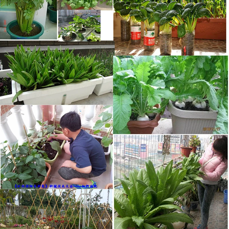 Цельнокроеное платье вредных насекомых вредителей порошок червь большой убийца