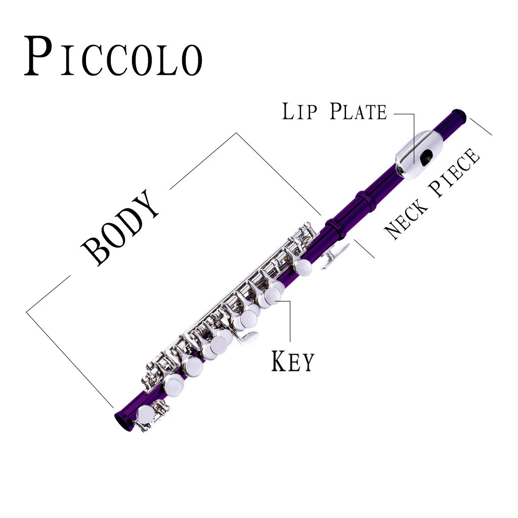 NAOMI Professional C Key Piccolo Set Half-size Flute Silver Plated Cupronickel With Cleaning Cloth Screwdriver Padded Box enlarge