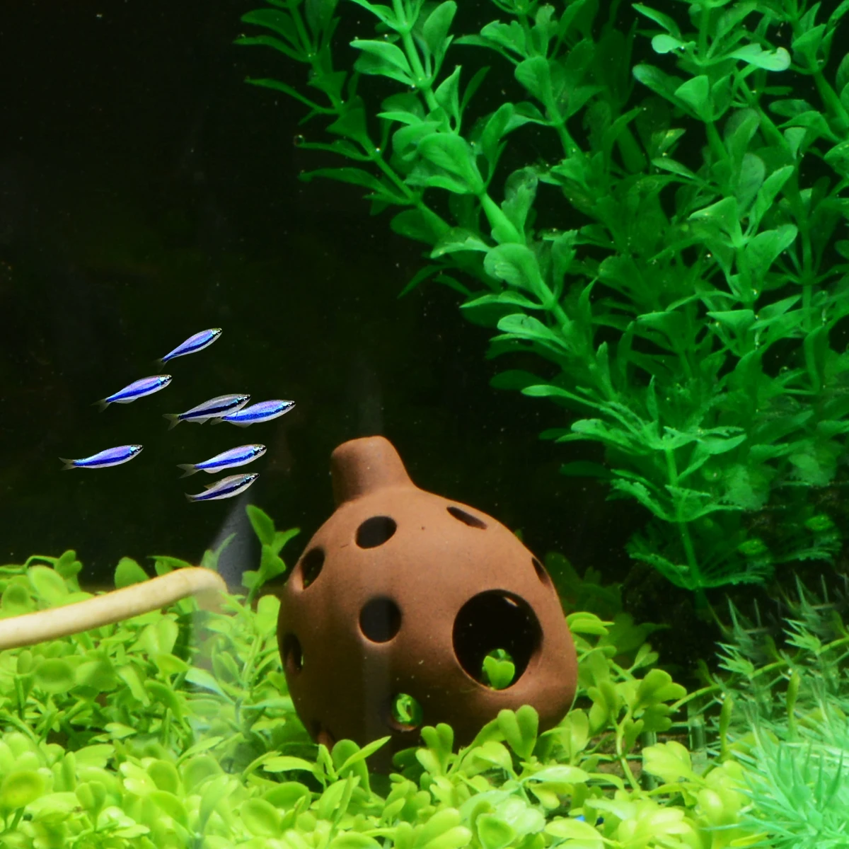 Saim аквариумных рыб танк орнамент Керамика круглое отверстие номер Украшение