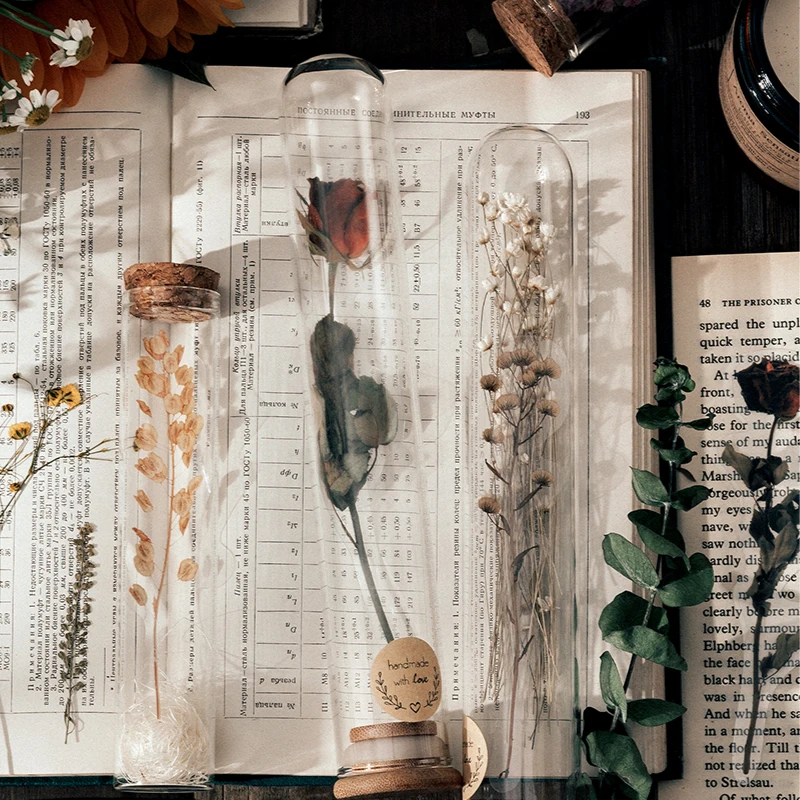 Набор стикеров для скрапбукинга 10 шт. в пакете эвкалиптовые мертвые листья розы