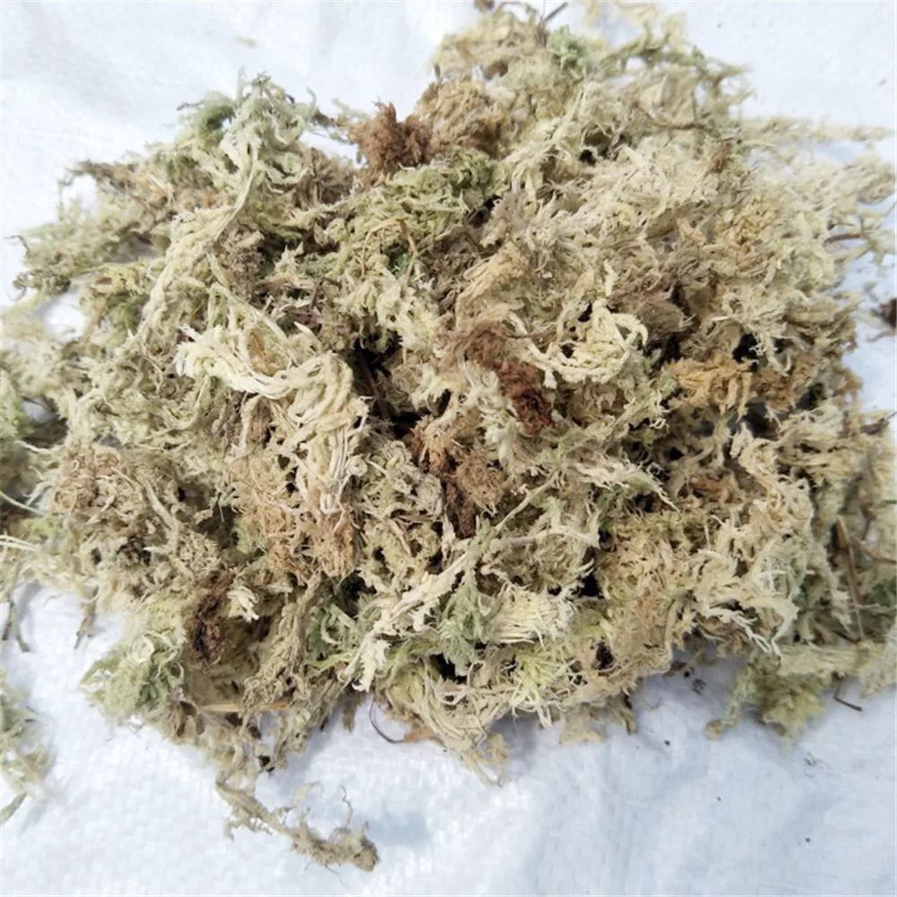 12L Sphagnum Moss Nutrition Organic Fertilizer For Orchid Phalaenopsis Musgo Flower Home Garden Supplies Tools | Дом и сад