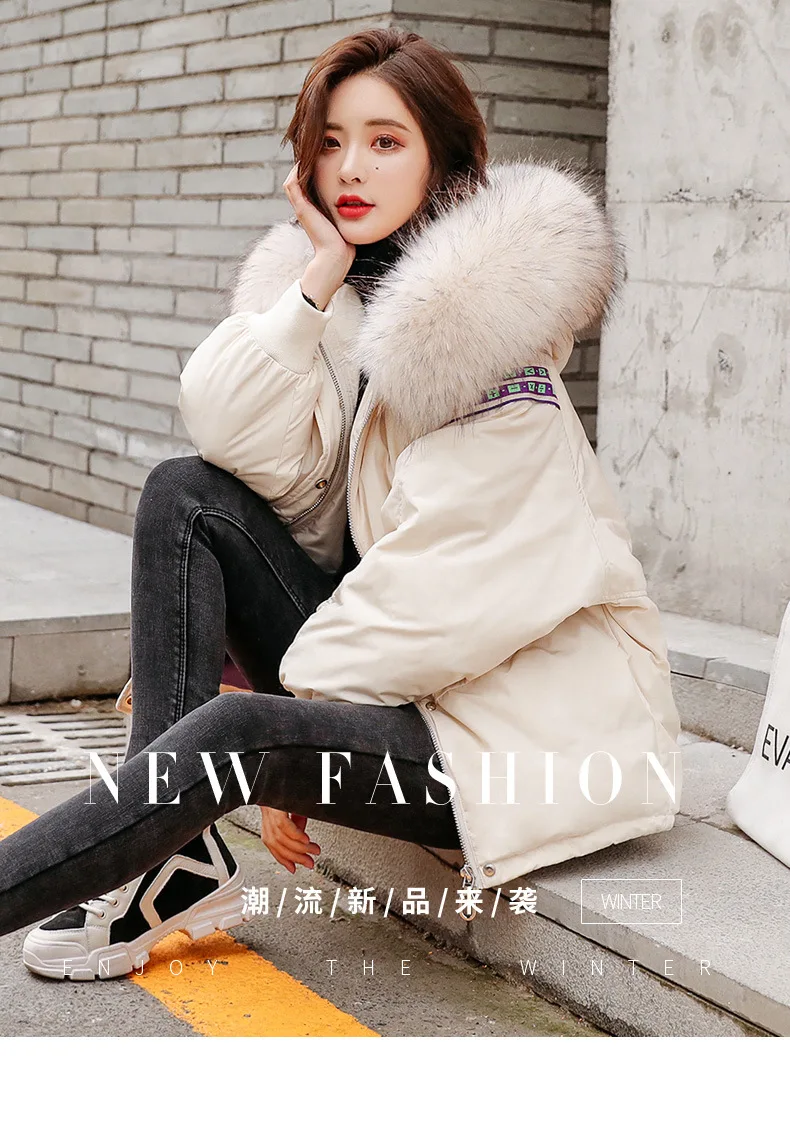 

2019 Winter new style women down jacket short popular female beautiful collar cotton fashion loose black pure color warm coat