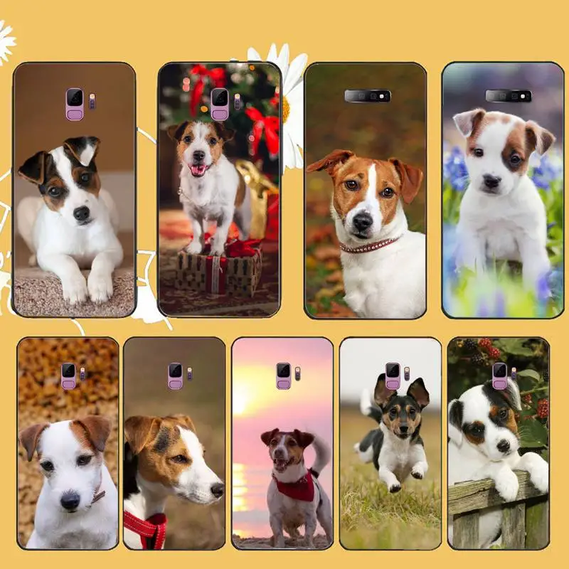 

Jack Russell Terrier cute dog animal Phone Case For Samsung galaxy A S note 10 7 8 9 20 30 31 40 50 51 70 71 21 s ultra plus