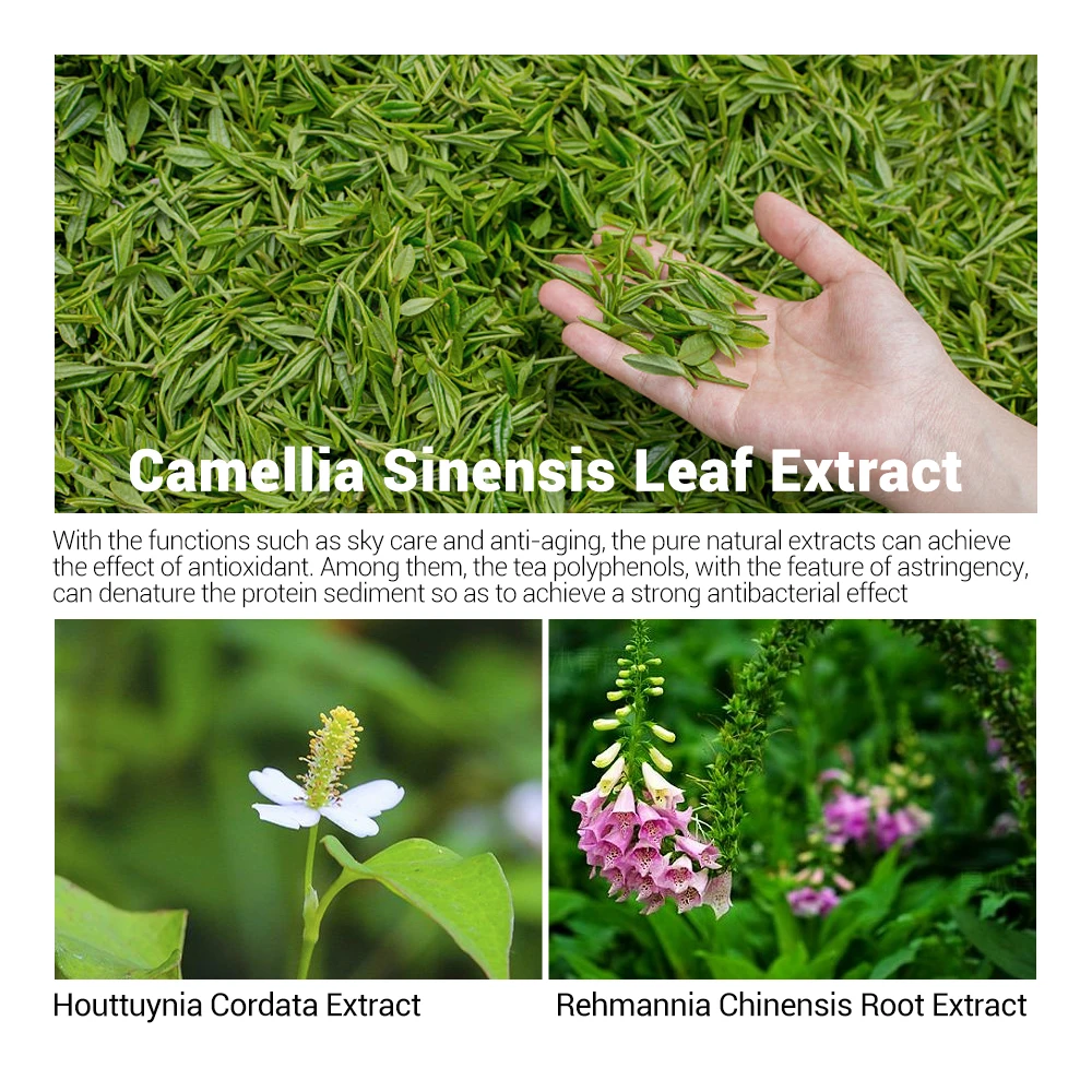 BREYLEE Пластырь от прыщей и акне лечение сывороточная эсенция маска для лица уход