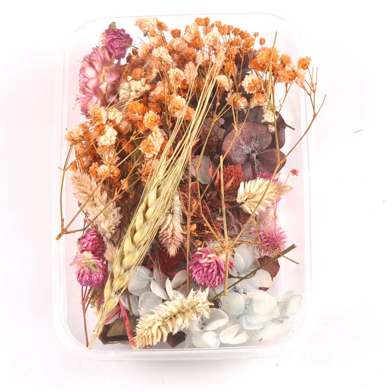 1 коробка случайные красочные настоящие сухие цветы растения для изготовления