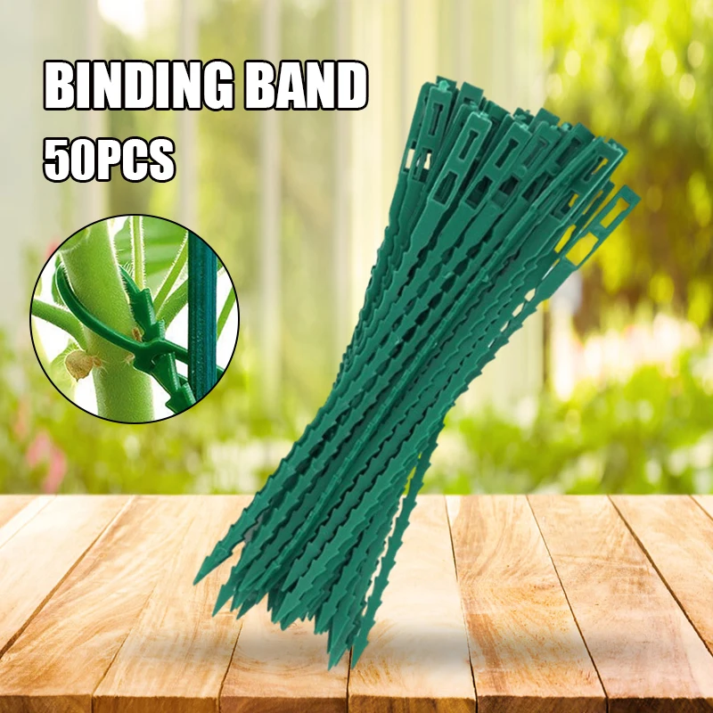 

Tree Branches Finishing Fixing Band Multi-purpose Creative Plant Tie Suitable for Garden Courtyard vupw