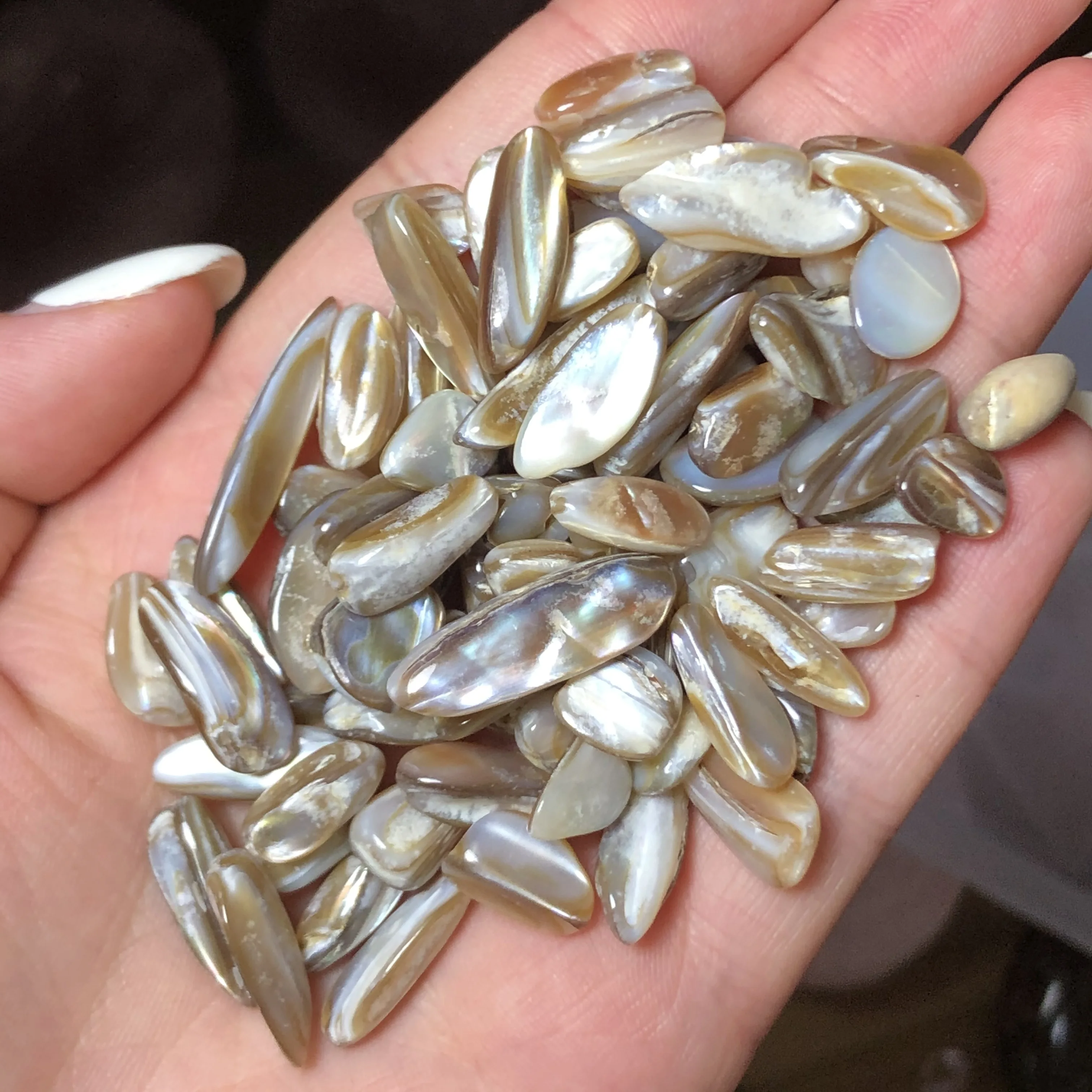 Редкий товар! 100 г натуральный сверкающий драгоценный камень мускулус senhousei