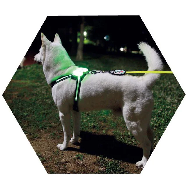 

dog simon collar cc accessoriesWholesale Nylon Safety Pet Dog Belt Harness Glow LED Flashing Leash Tether led dog harness