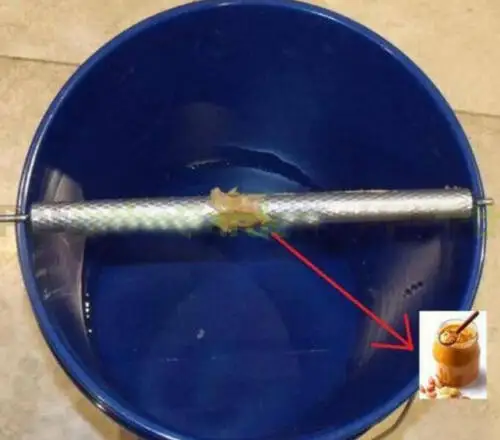 Rotatable Roll Into Bucket Mice Trap Rolling Mouse Rats Rodent Catch Mousetrap | Инструменты