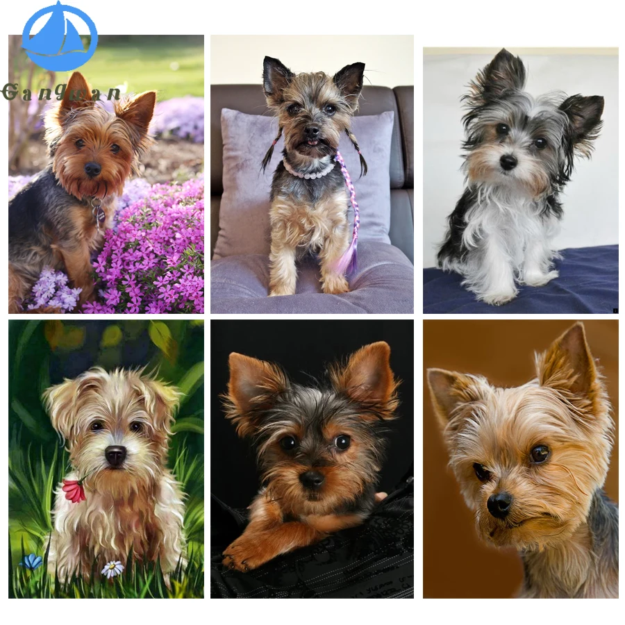 

Yorkshire Terrier Dog Diamond Painting Animal Cross Stitch Wall Stickers Full Drill Embroidery Mosaic cute pet puppy Diamond Art